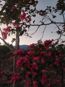 Apartamento Estudio en Alto Boquete