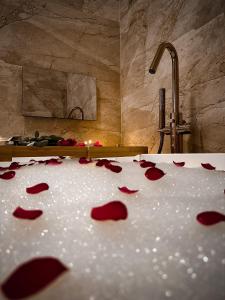 Apartament Perła - Zator Energylandia