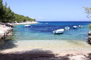 Apartment Zastupac 8761a