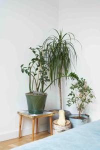 Lovely central flat with soul by the river Wisła