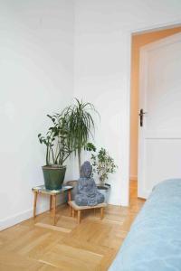 Lovely central flat with soul by the river Wisła