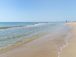 Appartement bord de mer à Marseillan Plage, animaux admis, parking privé - FR-1-387-205