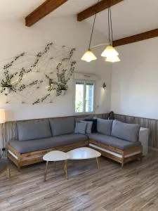 Team House - 8 lits - 热尔扎