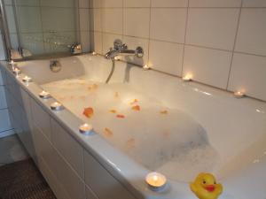 Apartmán Apartment Erod4 Budapešť Maďarsko
