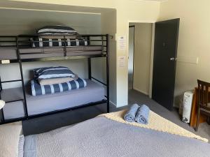 Alpine Lodge Queenstown