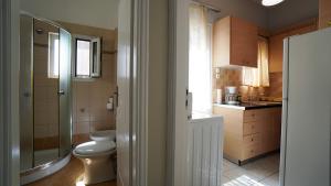 athens city themis 11