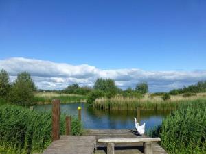 Beachvilla Ijsselmeerblik