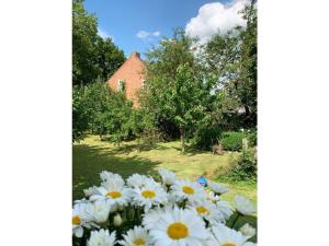 Cottage in Krummhorn for 4 people