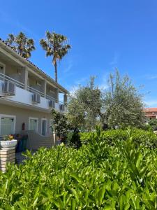 Alexandros Studios Apartments