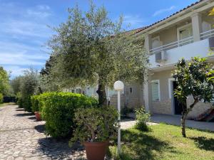 Alexandros Studios Apartments