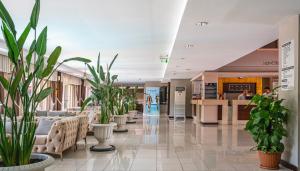 DG HOTELS ROSE RESORT