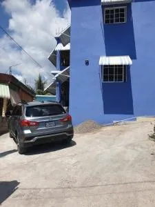 Shelly's - Old Harbour