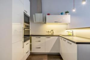 Superb Brand New Apartment Centra, Riga, Latvia