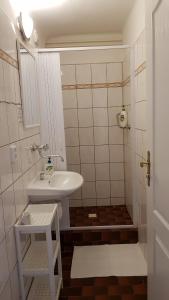 Modrá růže Třeboň