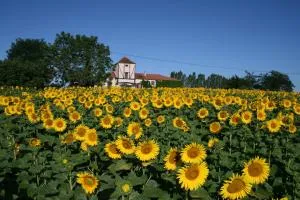 Chambres Rozies Dunes - Cuq