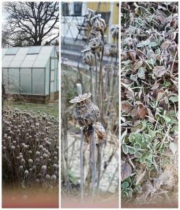 Tradgardshuset Garden House