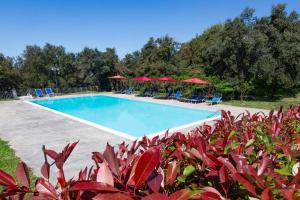 Monte Pirastru img70