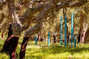 Monte Pirastru img84