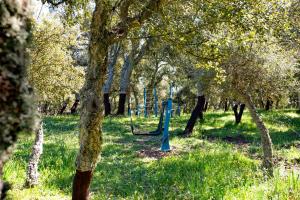 Monte Pirastru img82