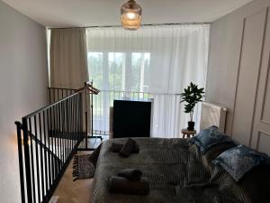 Apartamenty Zamość Sienkiewicza