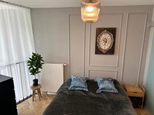 Apartamenty Zamość Sienkiewicza