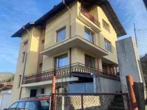 Анелия - Paničišče