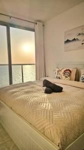 Luxury Ocean Front Apartment