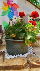B&B Santu Giuvanni "Un Tuffo nel Passato" img15