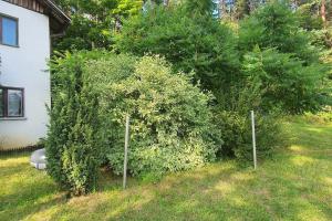 Cały dom Bezpośrednio nad jeziorem