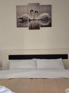 ARIJA studio apartment