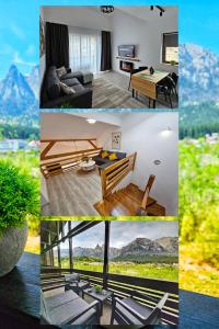 Magic Mountain View Busteni