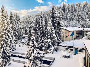 Modern LAAX apt, Swimming Pools, Wellness & Tennis