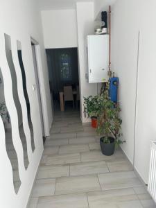 Szeged Szive Apartman