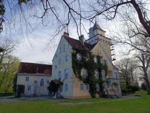 Zamek Nowęcin