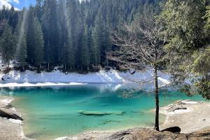 Swiss chalet near Flims