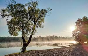 Awesome Apartment In Tumiany With Wifi