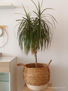 La Yeye Offre dautomne de 6 nuits & 6 Nights Autumn Offer