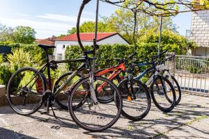Apartment Tesic close to the sea with shared 4xbicycles