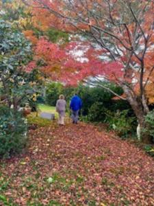 French Boutique Loft Apartment @Chapmans+breakfast