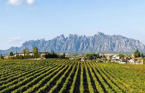 Habitación y Baño Privado, Tranquilidad y Naturaleza.