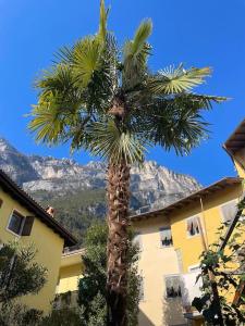Giovannas Home, historic Town House with Garden
