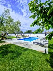Holiday home Aprilis with pool, jacuzzi and sauna - Prkos