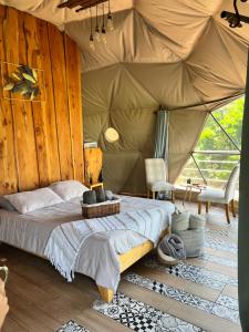 Green Noise Glamping