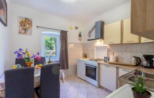 Pet Friendly Home In Labin With Wifi