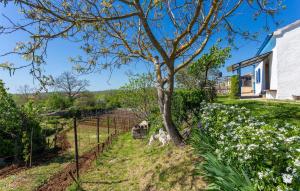 Pet Friendly Home In Labin With Wifi