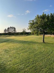 Maisons de vacances Maison avec etang : photos des chambres