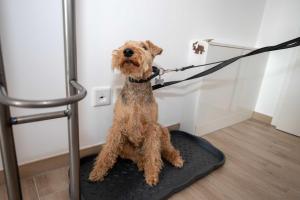 Ferienwohnung Ostseeliebe