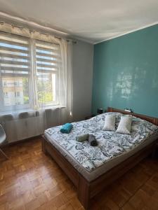 Apartament 18