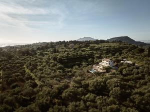 DiLa Grand Villa, a 5acres Secluded Sanctuary with Pool, By ThinkVilla