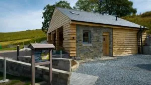 Forestview Cabin No 1 - cosy cabin stay - Drumaroad
